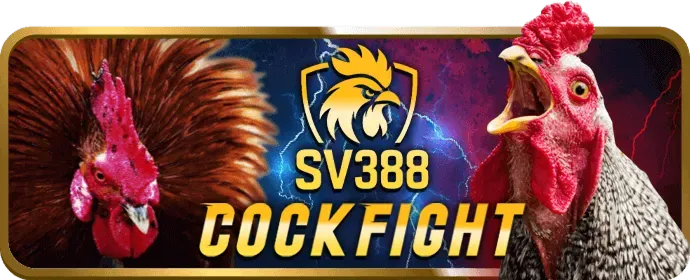 Chương trình hoàn trả cược đá gà TA888 App